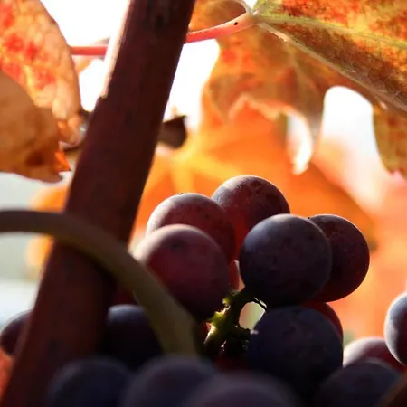 Ada Nada Agriturismo Bauernhof